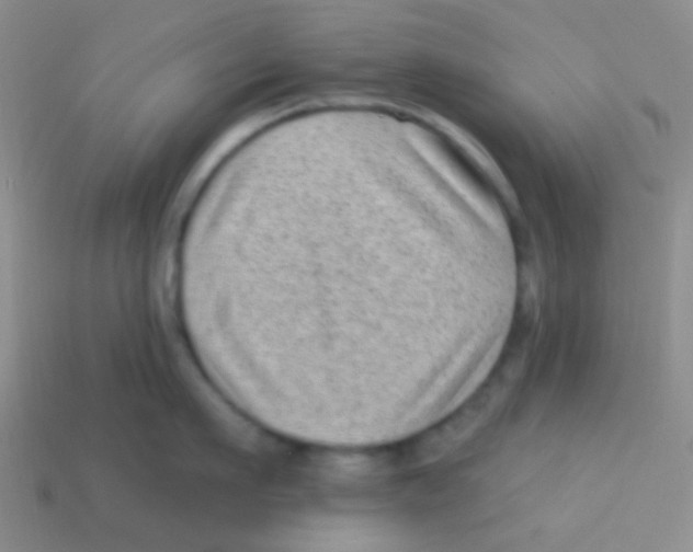 X0000113610911200910161926