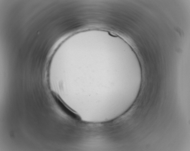 X0000113610912200910161926