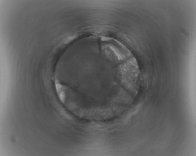 X0000113610913200910161926