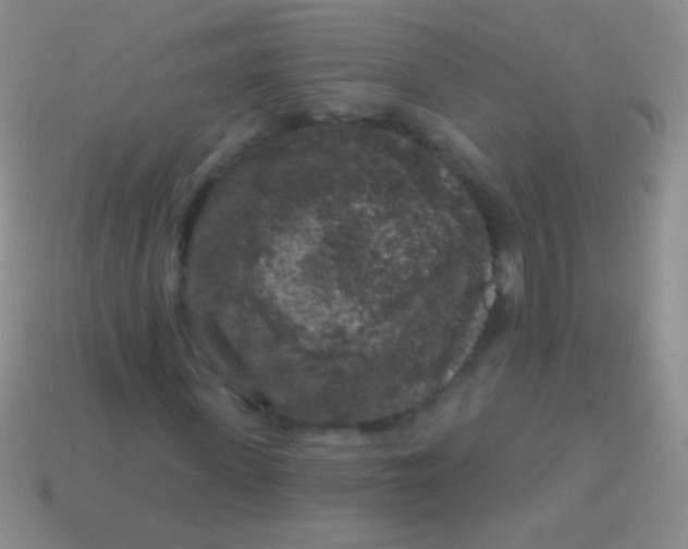 X0000113610915200910161926