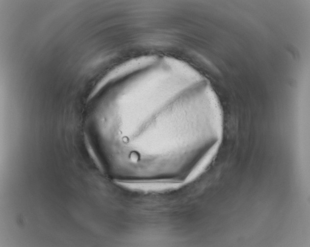 X0000113610917200910161926