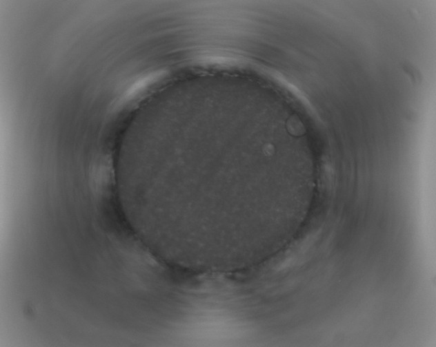 X0000113610918200910161926