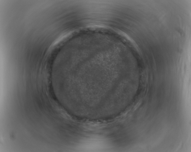 X0000113610919200910161926