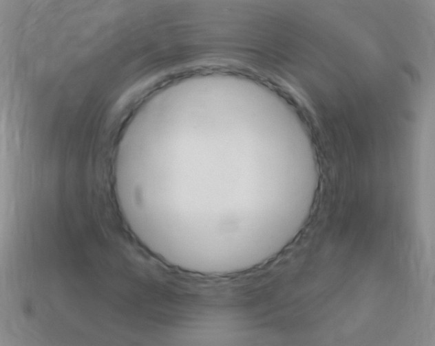 X0000113610920200910161926