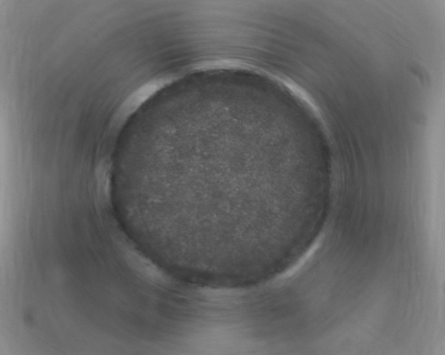 X0000113610921200910161926