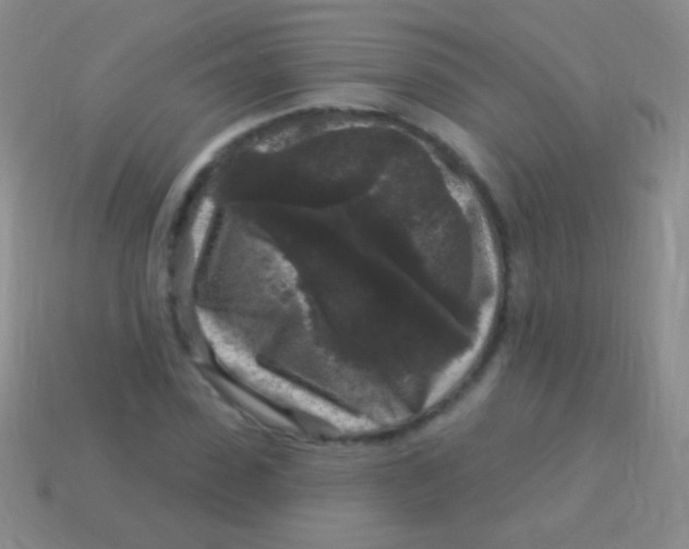 X0000113610923200910161926