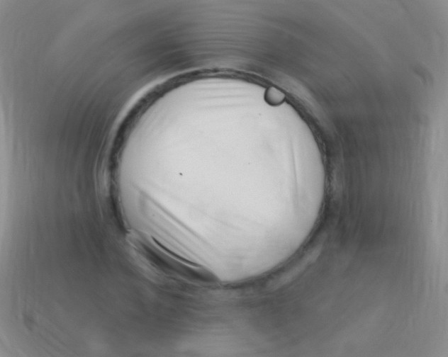 X0000113610924200910161926