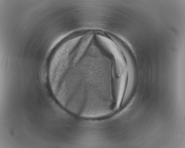 X0000113610925200910161926