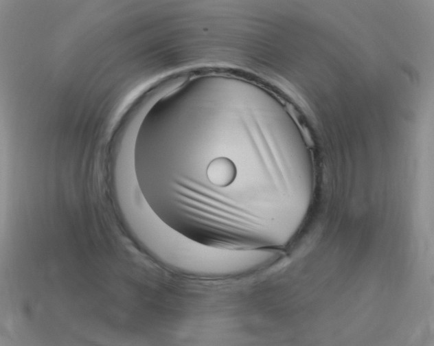 X0000113610926200910161926