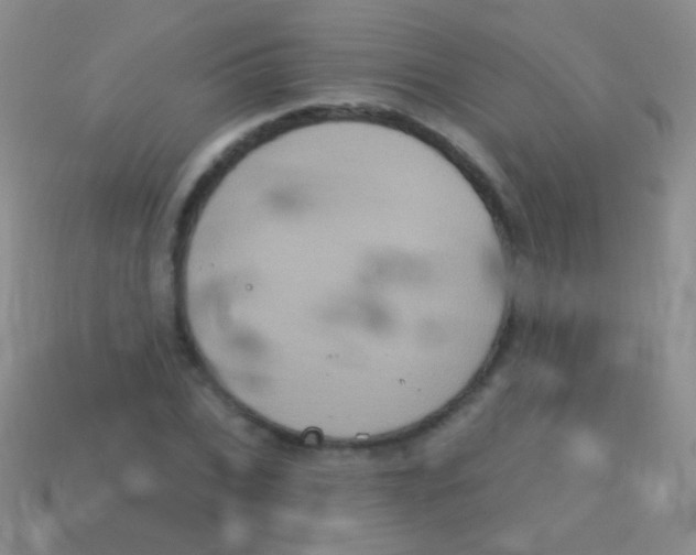 X0000113610927200910161926