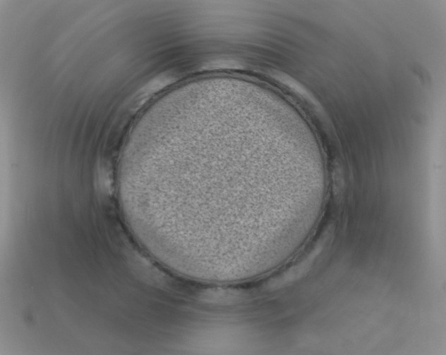 X0000113610929200910161926