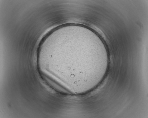 X0000113610931200910161926