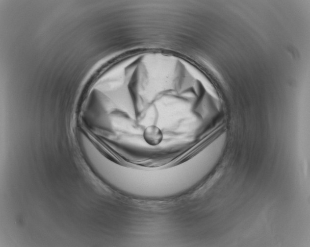 X0000113610932200910161926