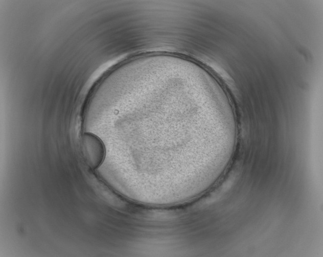 X0000113610933200910161926