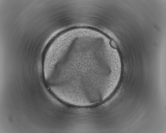 X0000113610934200910161926