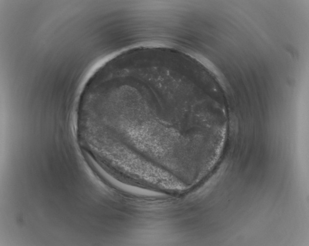 X0000113610935200910161926