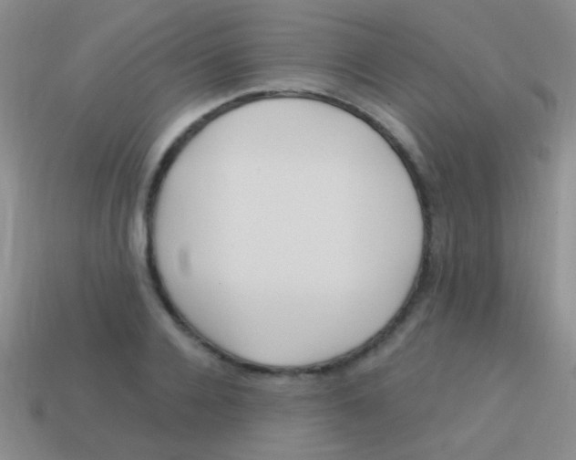 X0000113610936200910161926