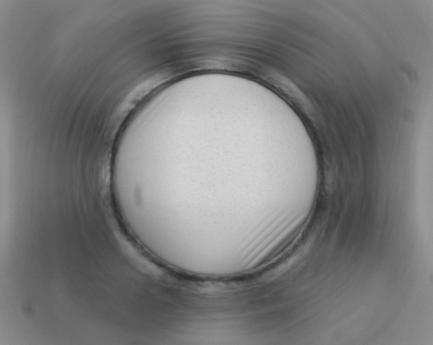 X0000113610938200910161926