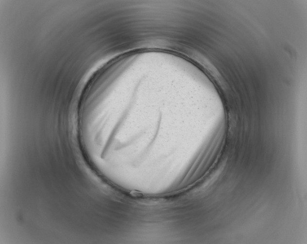 X0000113610939200910161926