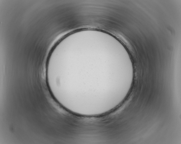 X0000113610940200910161926