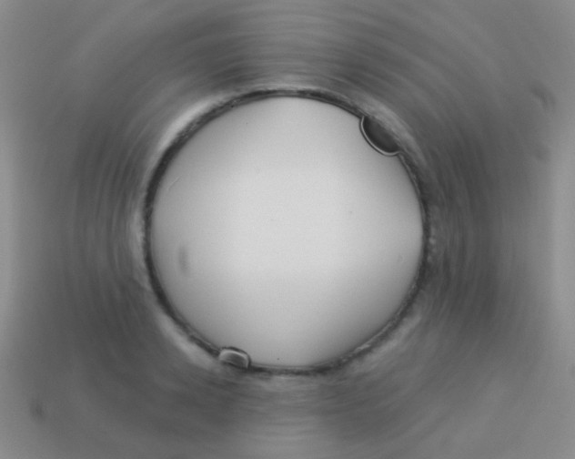 X0000113610942200910161926