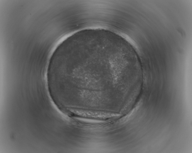 X0000113610943200910161926