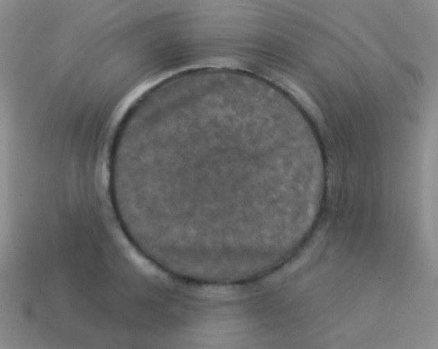 X0000113610944200910161926