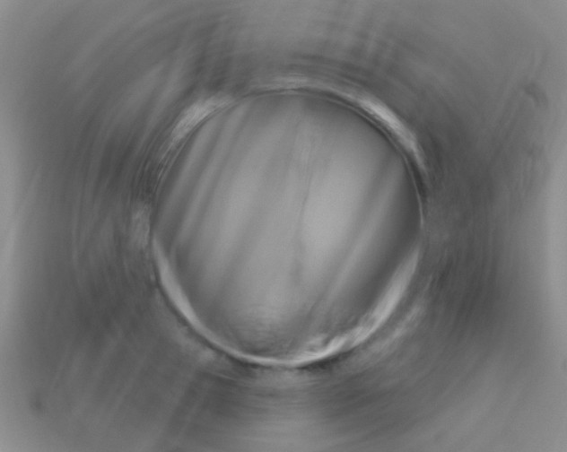 X0000113610945200910161926