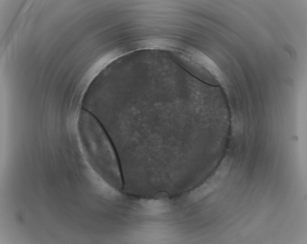 X0000113610946200910161926