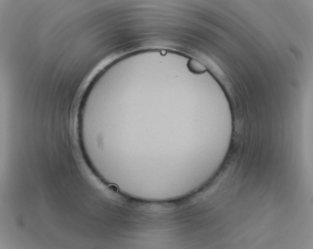 X0000113610947200910161926