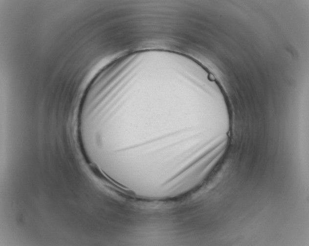 X0000113610949200910161926