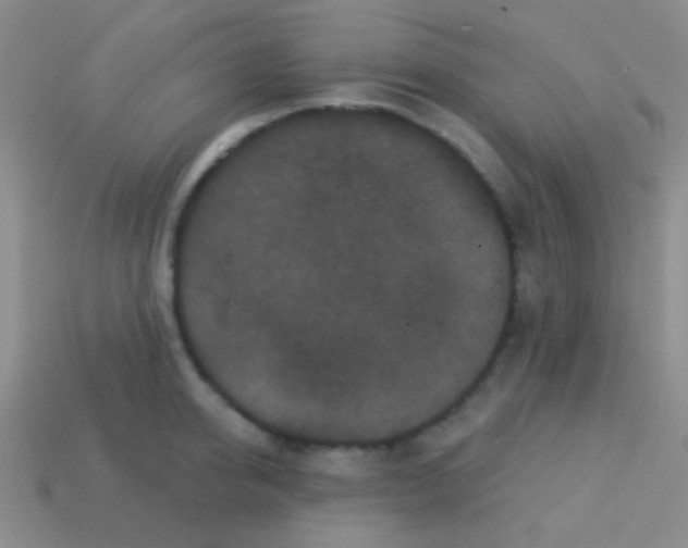 X0000113610950200910161926