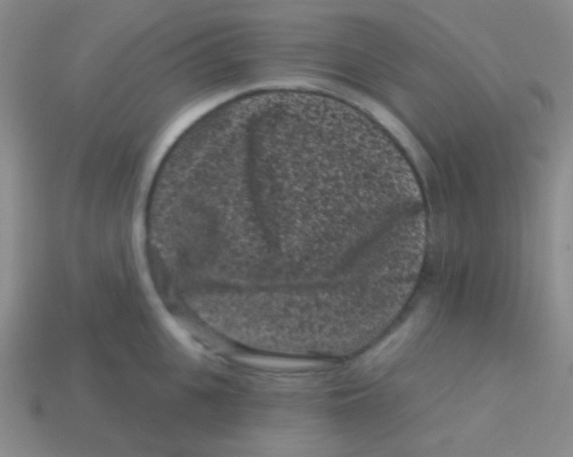 X0000113610951200910161926