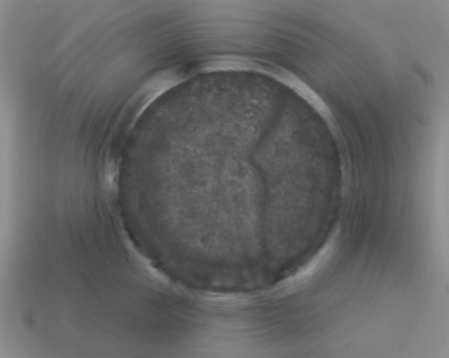 X0000113610953200910161926