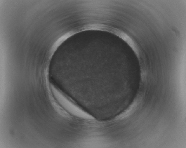 X0000113610954200910161926