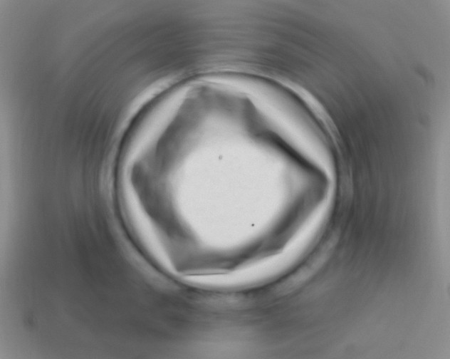 X0000113610957200910161926