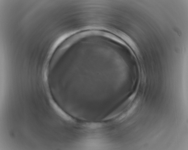 X0000113610958200910161926