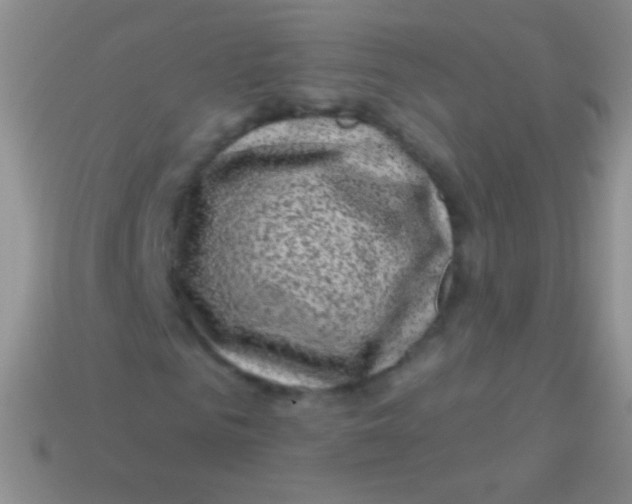 X0000113610961200910161926