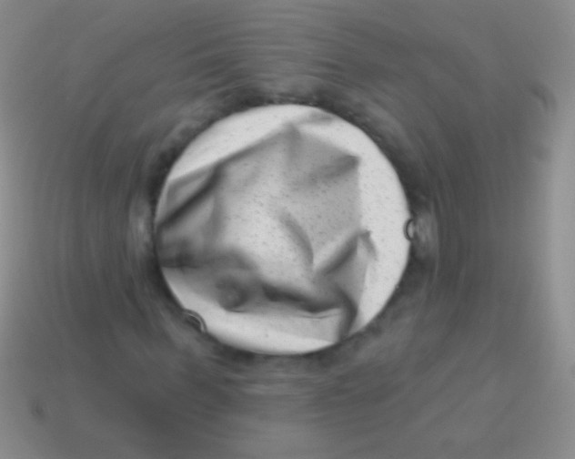 X0000113610963200910161926