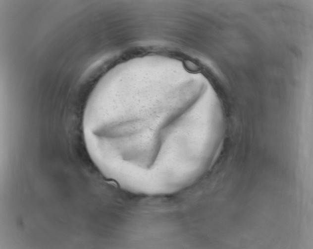 X0000113610967200910161925