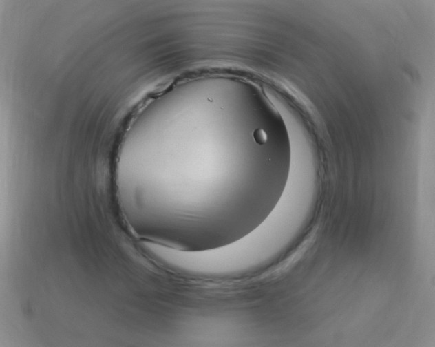 X0000113610969200910161925