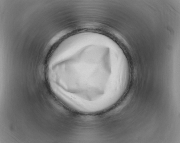 X0000113610970200910161925