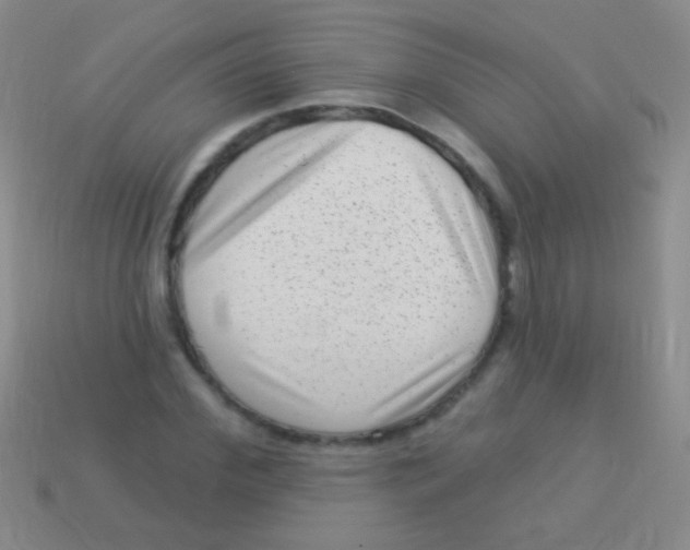 X0000113610972200910161925