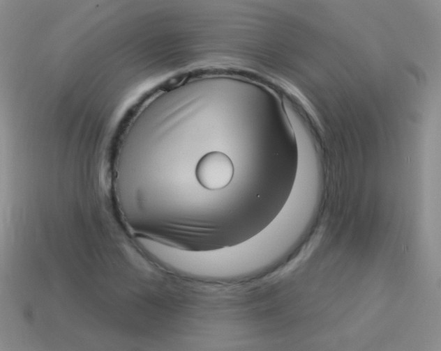 X0000113610973200910161925