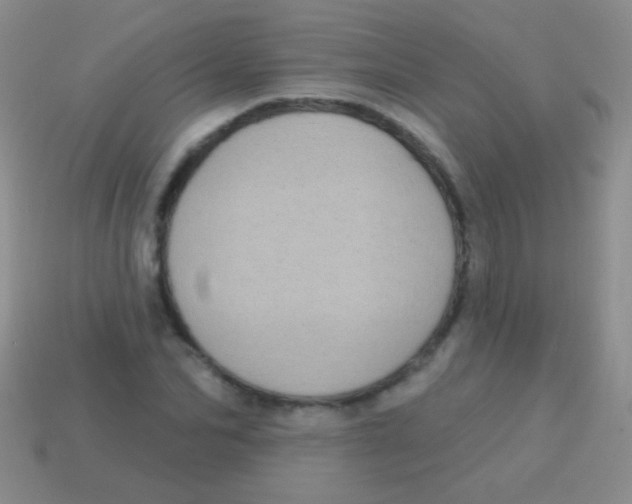 X0000113610974200910161925