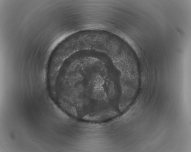 X0000113610975200910161925