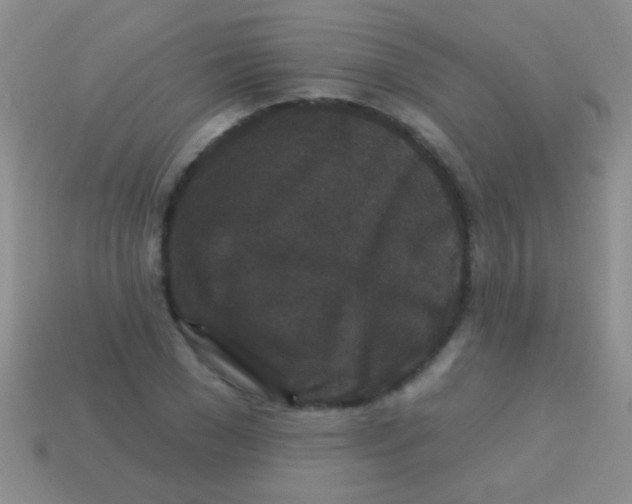 X0000113610977200910161925