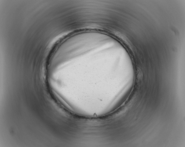 X0000113610979200910161925