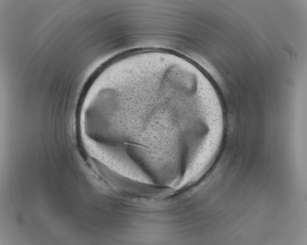 X0000113610980200910161925