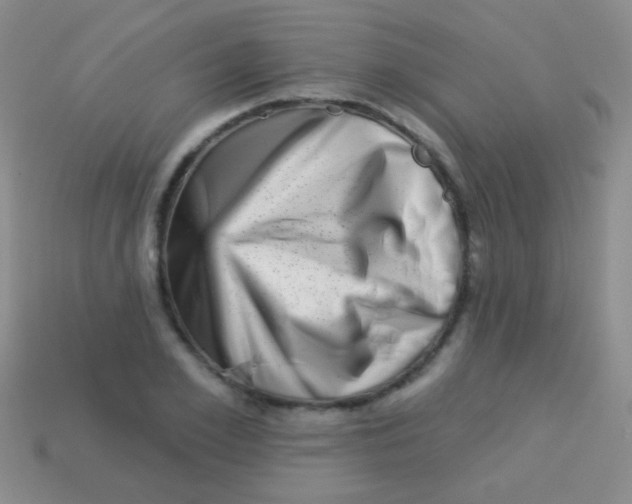 X0000113610981200910161925